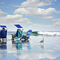 A Day at the Beach