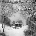 A Winter's Tale in Centerport New York